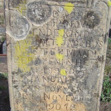 WESTERMANN Barent Jacobus 1896-1901