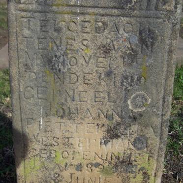 WESTERMANN C? Johanna Pietternella 189?-1901