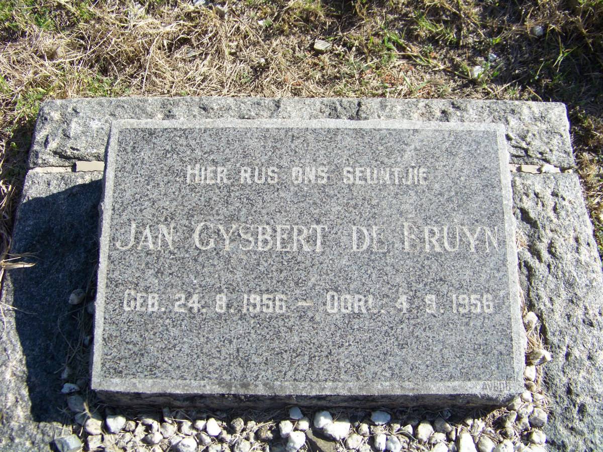 BRUYN Jan Gysbert, de 1956-1956