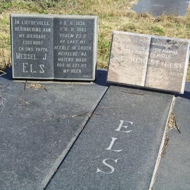 ELS Wessel J. 1936-1983 &amp; Wilna C.J. PIENAAR 1942- :: HERBST S.C. nee ELS -2007