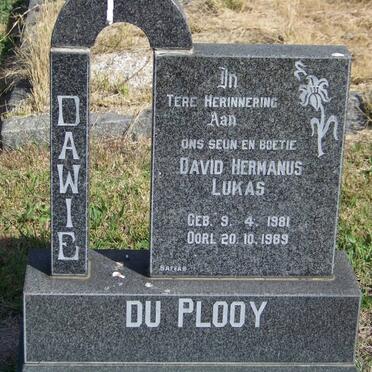 PLOOY David Hermanus Lukas, du 1981-1989