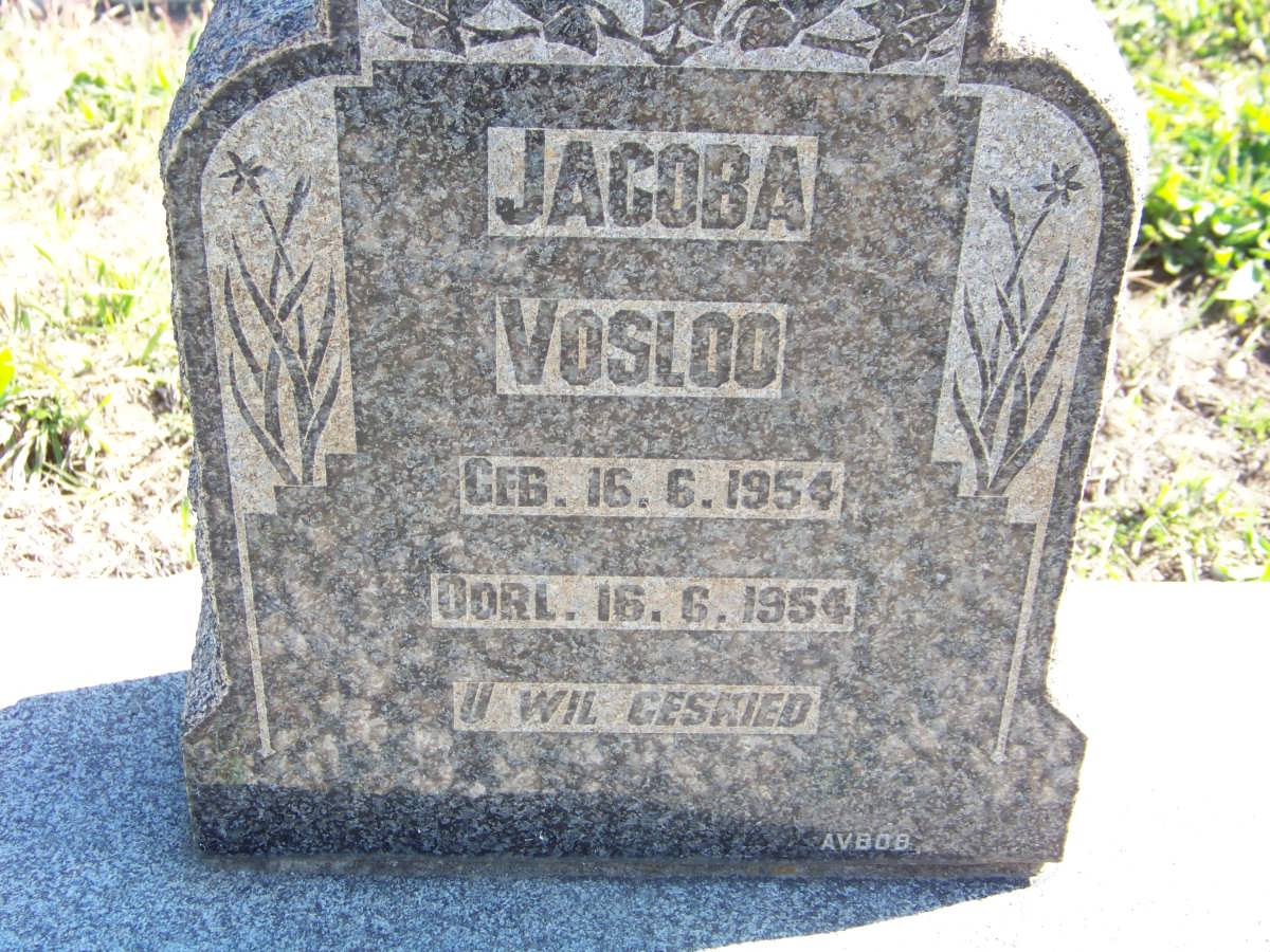 VOSLOO Jacoba 1954-1954