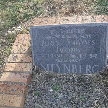 STEYNBERG Petrus Johannes Jacobus 1877-1947