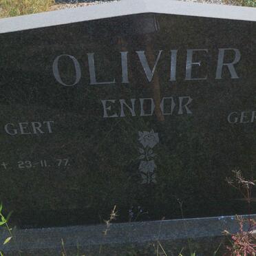 OLIVIER Gert -1977 &amp; Gertien