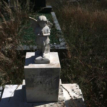 PIENAAR Willem 18??-1974