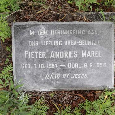 MAREE Pieter Andries 1957-1958