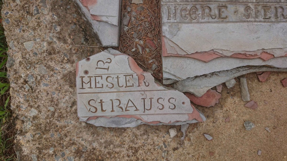 STRAUSS Hester 1842-1888