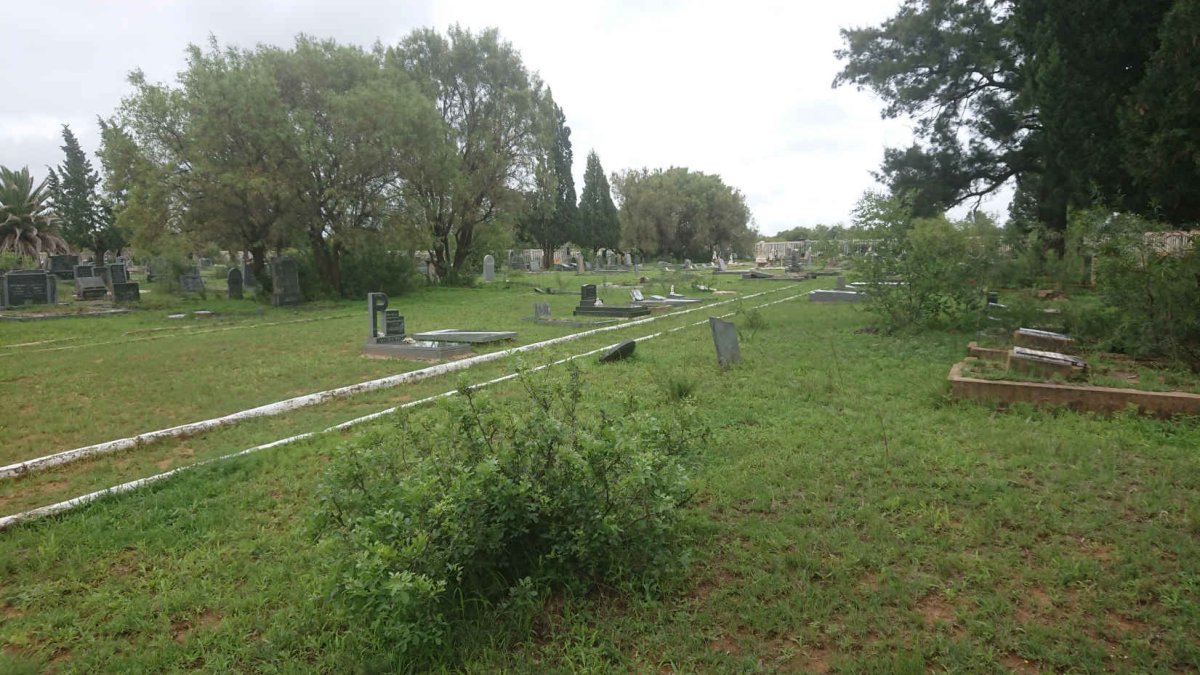 2. Overview / Oorsig