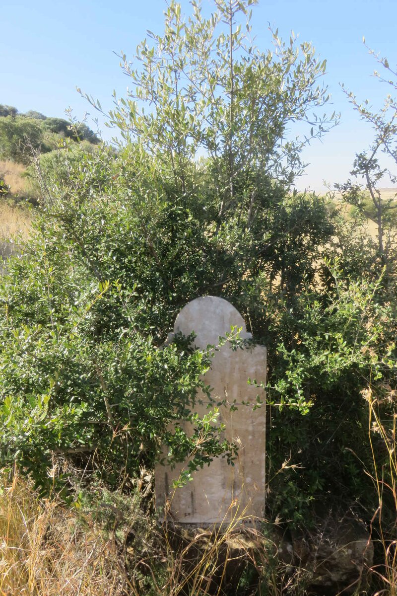 GOUS Martha Sophia nee NOORDMAN 1884-1919