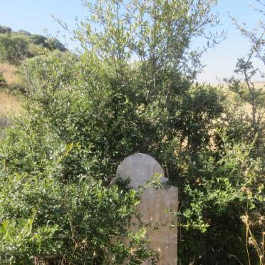 GOUS Martha Sophia nee NOORDMAN 1884-1919