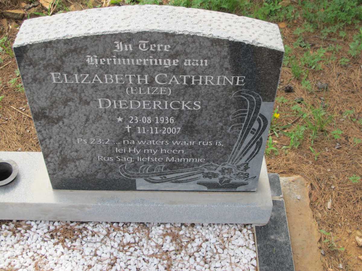 DIEDERICKS Elizabeth Cathrine 1936-2007