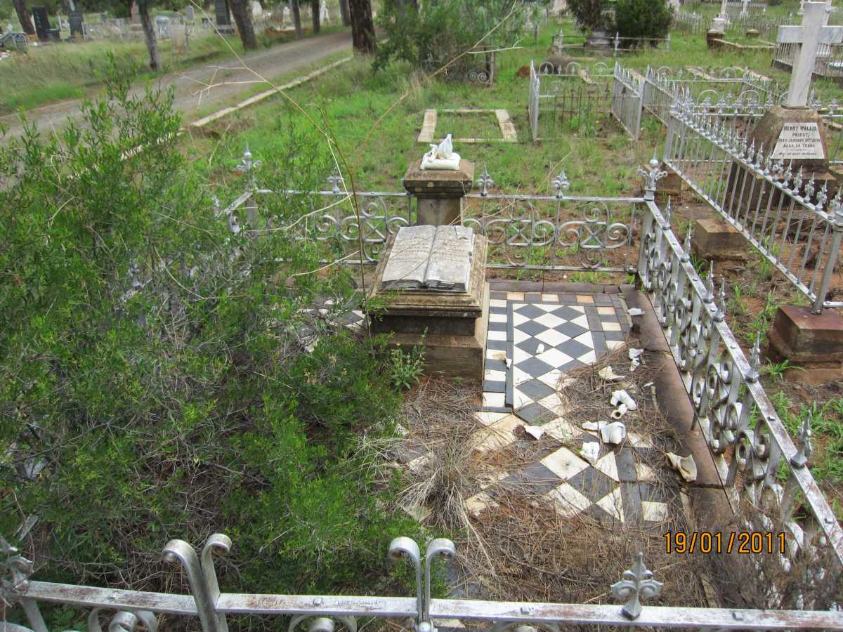 DAVIDSON Ellen Georgina :: DAVIDSON James :: DAVIDSON John James :: DAVIDSON Donald Steven :: DAVIDSON Alexander