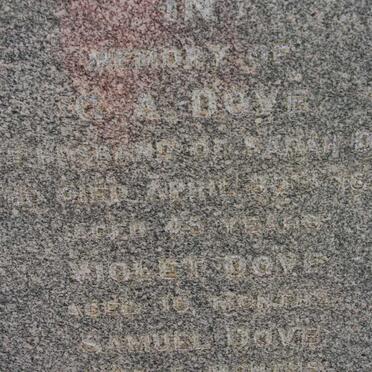 DOVE ? A. -1892 :: DOVE Voilet  :: DOVE Samuel