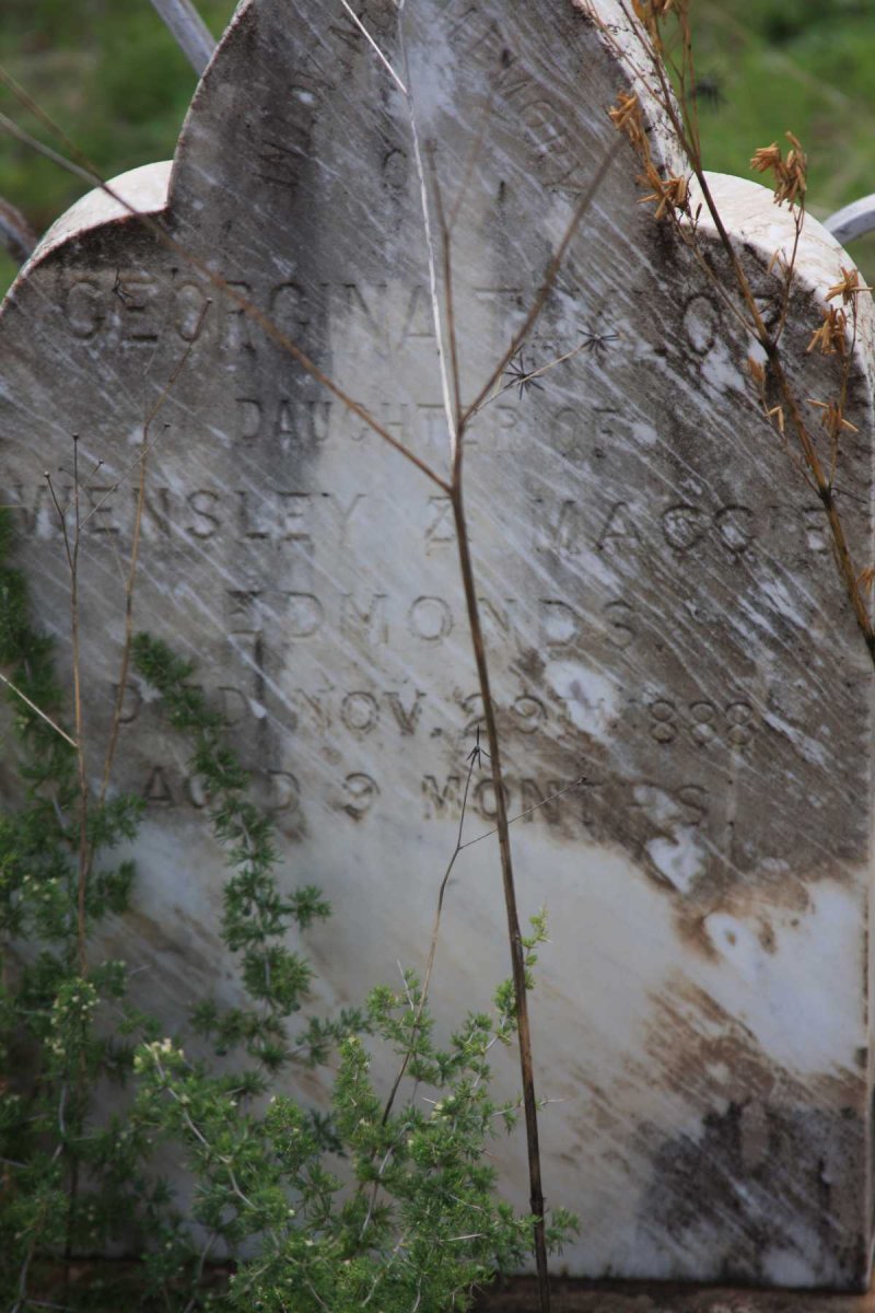 EDMONDS Georgina Taylor -1888