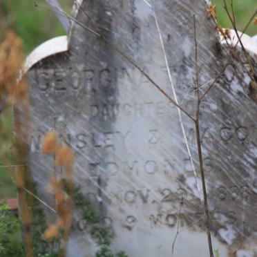 EDMONDS Georgina Taylor -1888