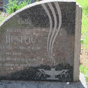 HATTINGH Hester 1919-1951