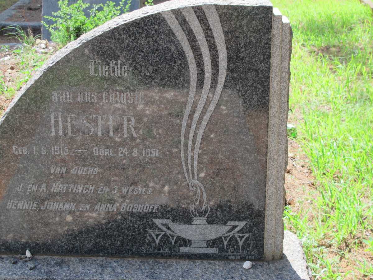 HATTINGH Hester 1919-1951