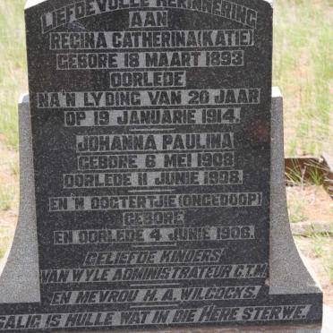WILCOCKS Regina Catherina 1893-1914 :: WILCOCKS Johanna Paulina 1908-1908 :: WILCOCKS Ongedoop 1906-1906