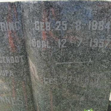 WESSELS Frans Johannes 1884-1957