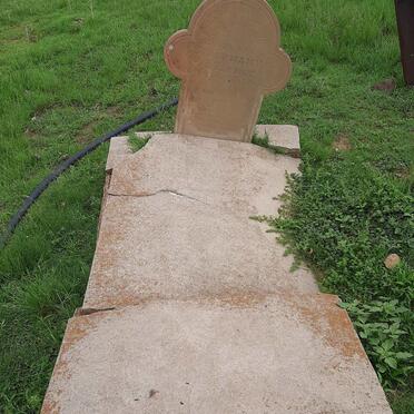 1. Oorsig van enkelgraf