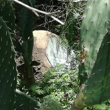 STEPHENS Charles Arthur -1923