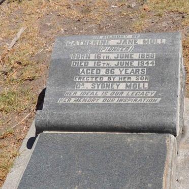 MOLL Catherine Jane nee FRANCIS 1858-1944