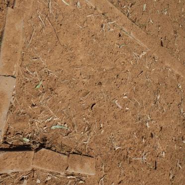 Free State, KOPPIES district, Humphries 242, farm cemetery