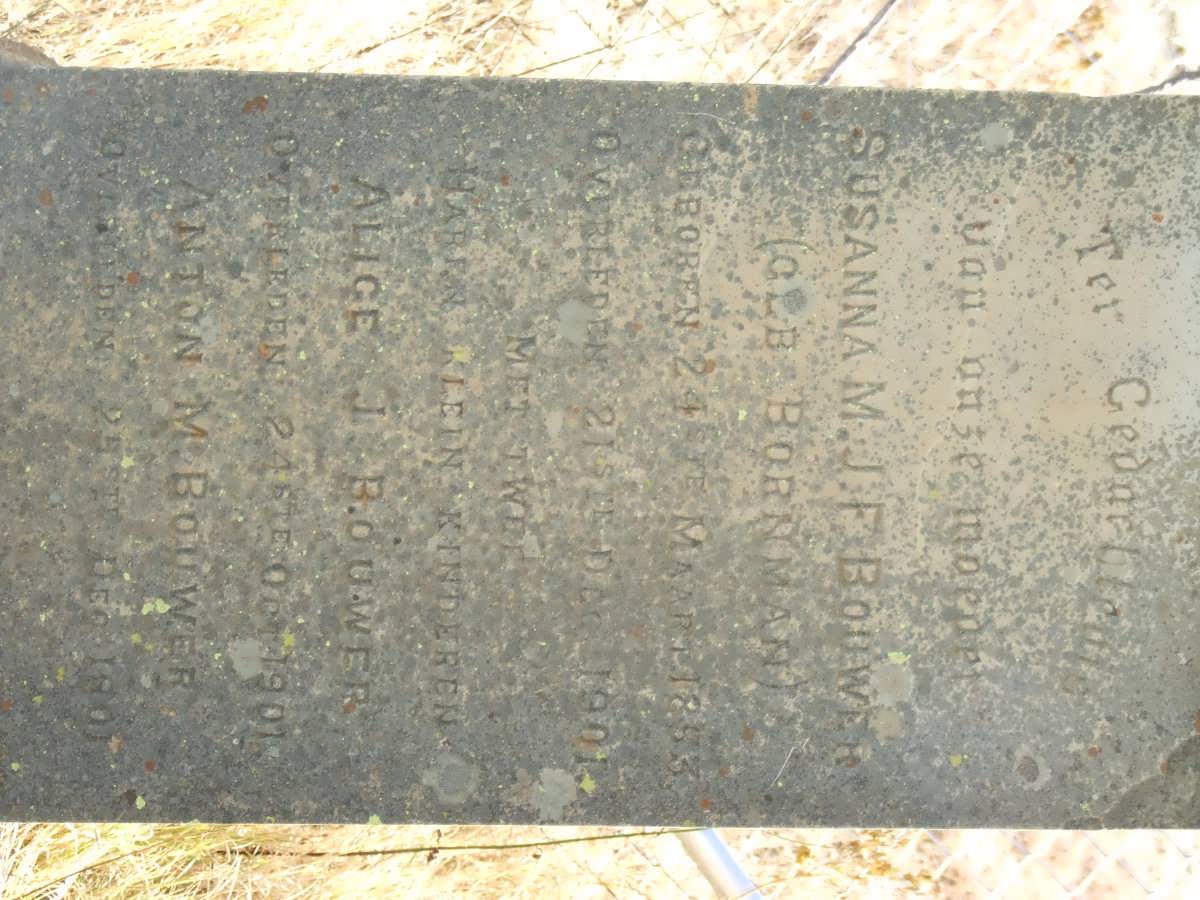 BOUWER Susanna M.J.F. nee BORNMAN 1853-1901 :: BOUWER Alice J. -1901 :: BOUWER Anton M. -1901