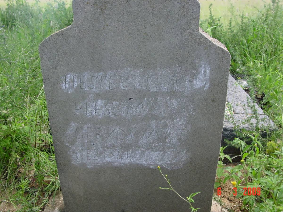 PLESSIS Hester H., du nee V.D. WALT 1941-?