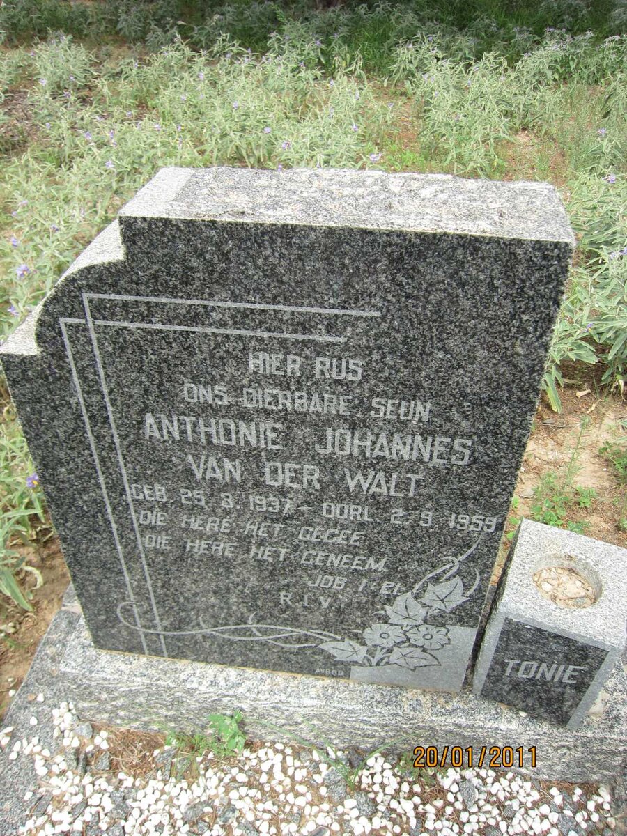 WALT Anthonie Johannes, van der 1937-1959