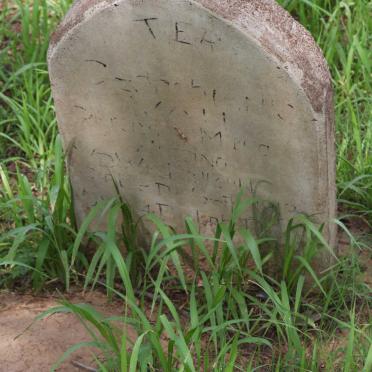 WESTHUIZEN M.S, van der -1916