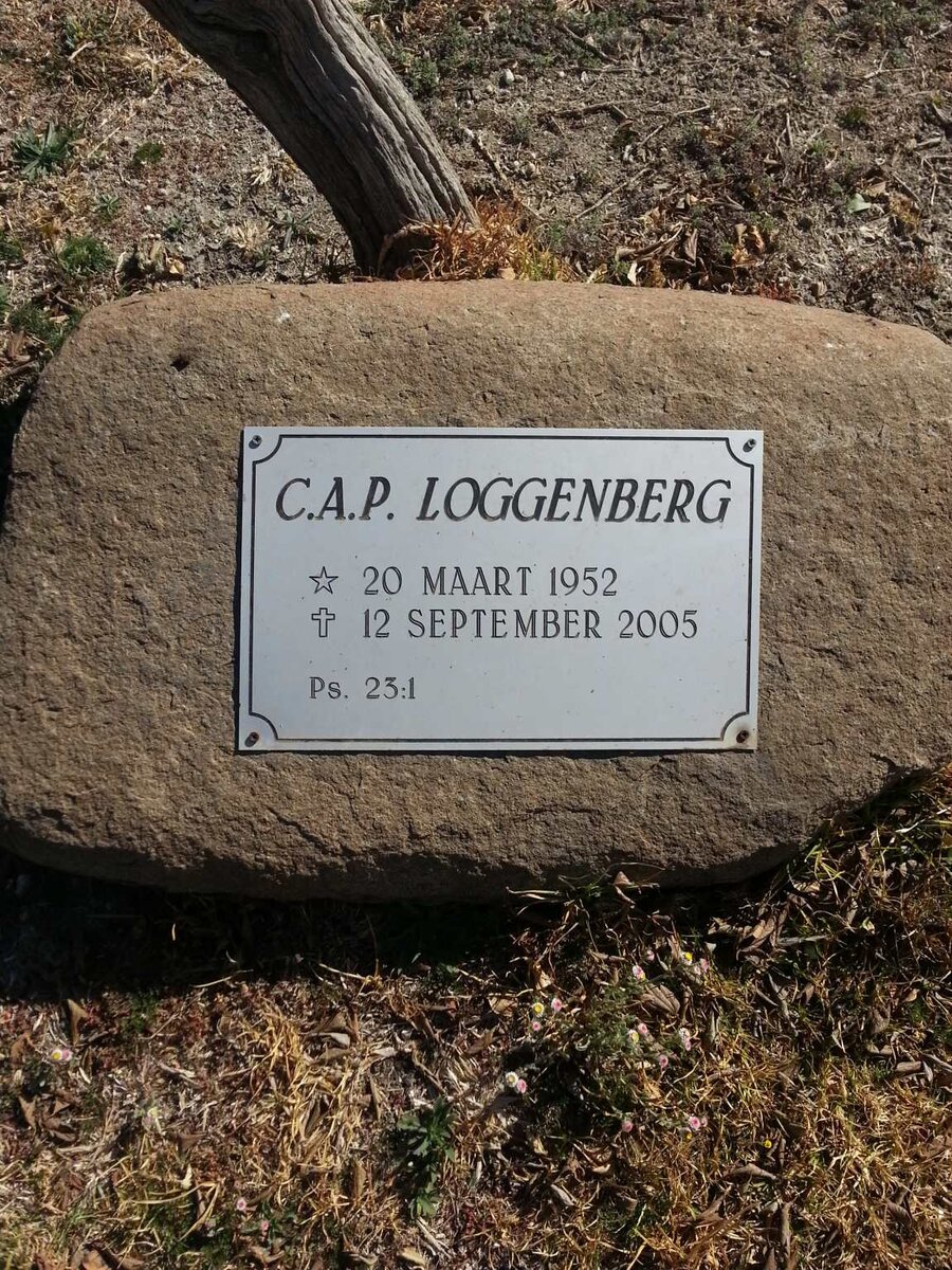 LOGGENBERG C.A.P. 1952-2005