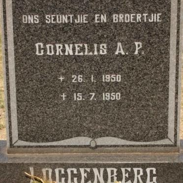 LOGGENBERG Cornelis A.P. 1950-1950