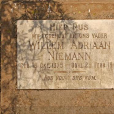 NIEMANN Willem Adriaan 1879-1948
