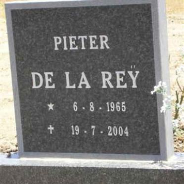 REY Pieter, de la 1965-2004