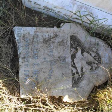 HOBBS William C. 1866-