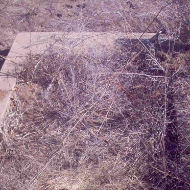 2. Unknown :: Illegible