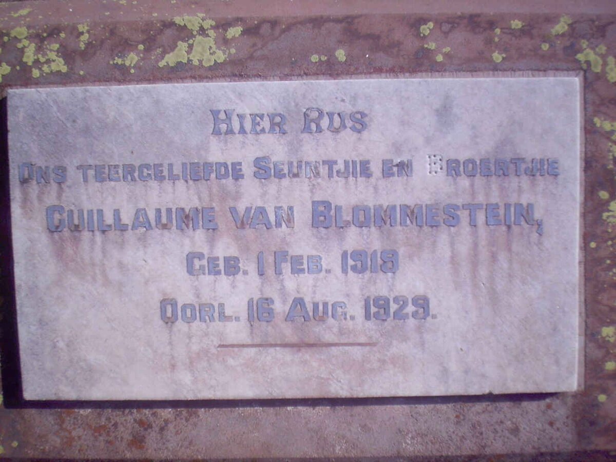 BLOMMESTEIN Guillaume, van 1919-1929