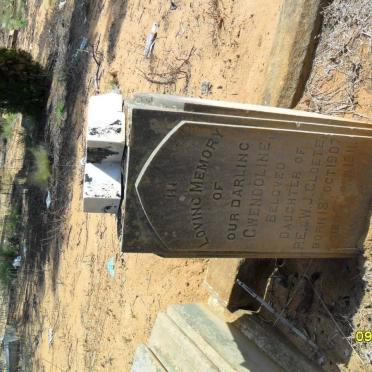 CLOETE Gwendoline 1907-1911 :: ?