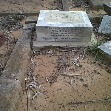 HARTLEY Norman Selkirk -1901 :: HARTLEY ?