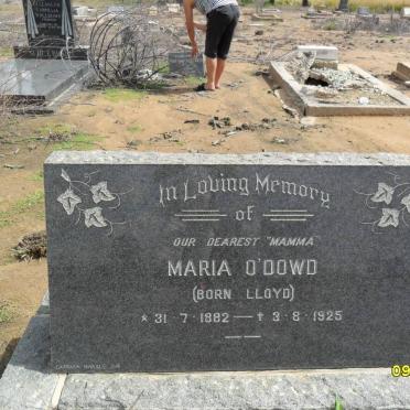 O'DOWD Maria nee LLOYD 1882-1925