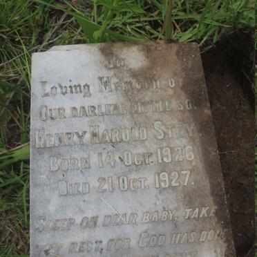 STEYN Henry Harold 1926-1927