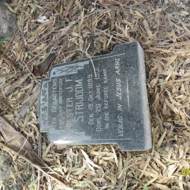 STRIJDOM Hester J.F. 1899-1901