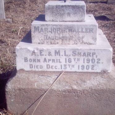 SHARP Marjorie Waller 1902-1902