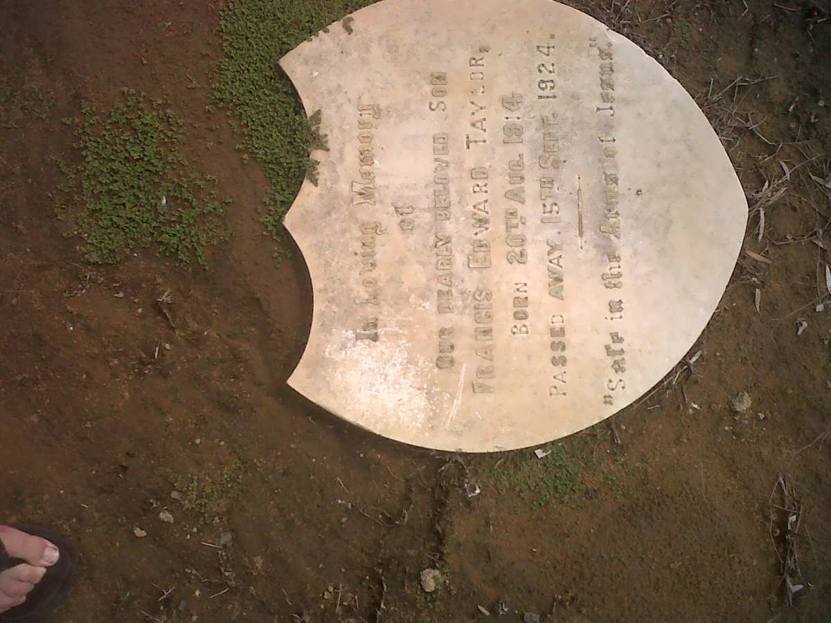 TAYLOR Francis Edward 1914-1924