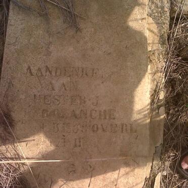 TERBLANCHE Hester J.