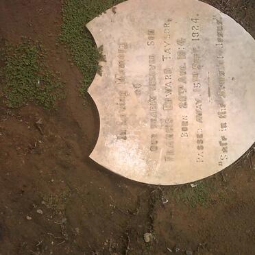 T - Vanne :: Surnames - T