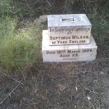 WILSON Septimus -1904