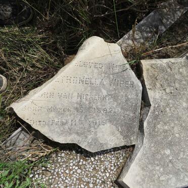 WIPER Martha Petronella nee VAN NIEKERK 1892-1915 _1