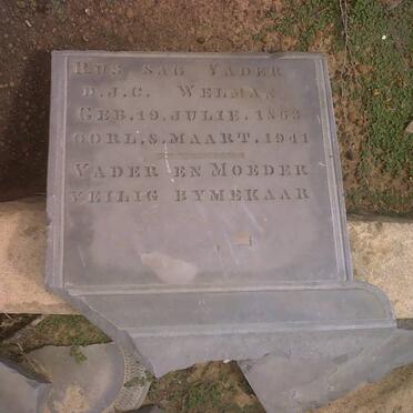 WELMAN Daniel Johannes Christoffel 1863-1944 _2